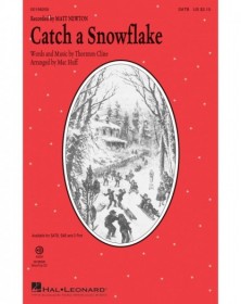 Catch a Snowflake