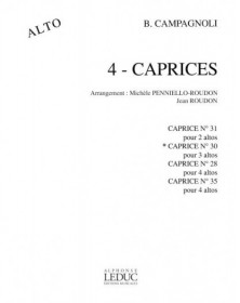 Bartolomeo Campagnoli:...