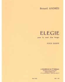 Elégie Pour La Mort d'Un...
