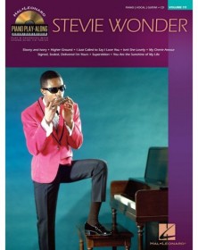 Stevie Wonder