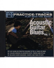 Acoustic Guitar Blues:...