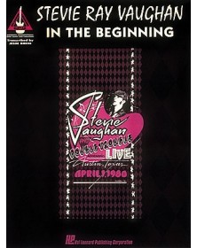 Stevie Ray Vaughan- in the...