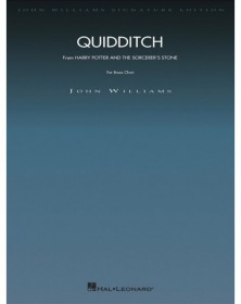 Quidditch (HARRY POTTER AND...