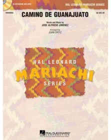 Camino De Guanajuato