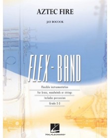 Jay Bocook : Aztec Fire - Flex-Band