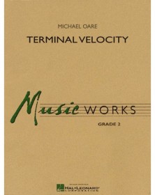 Terminal Velocity