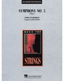 Symphony No.5 ( Allegro )