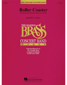 Roller Coaster
