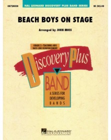 Beach Boys On Stage