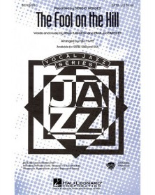 The Fool On The Hill