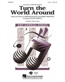 Turn the World Around