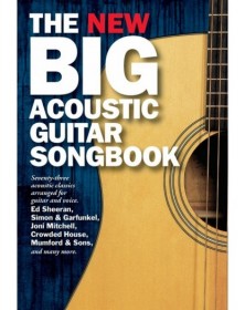 The New Big Acoustic Guitar...