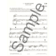 Sophie Dufeutrelle : Rue Traversière, 1 - The Flute Way, 1