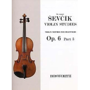 Sevcik : Etudes Opus 6 / Partie 5 - Violon
