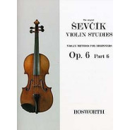 Sevcik : Etudes Opus 6 / Partie 6 - Violon