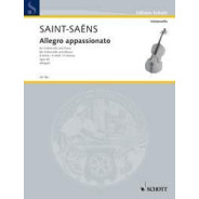 Allegro Appassionato