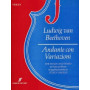 Andante Con Variazioni