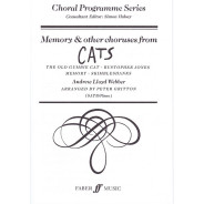 Memory and other choruses