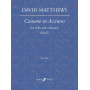 Concerto in Azzurro