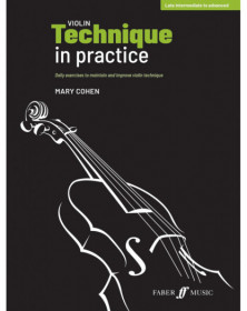 Violin Technique in Practice