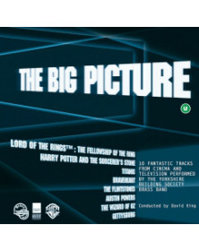 Big Picture