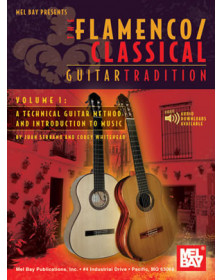 Flamenco Classical Guitar...