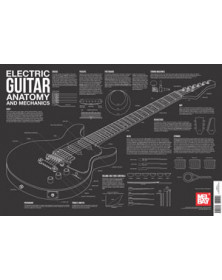 Electric Guitar Anatomy And...