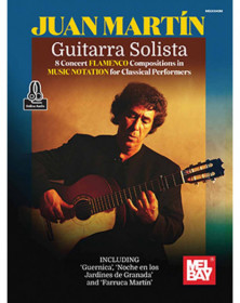 Guitarra Solista