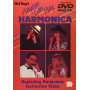 Anyone Can Play Harmonica