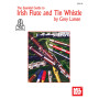 Essential Guide To Irish Flute And Tin Whistle
