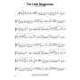 Violin play-along volume 20 - Irish Tunes