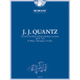 Concerto for Flute, Strings and BC QV 5 : 174 in G