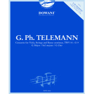 Concerto TWV 51