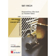 Sky High