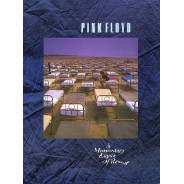 Momentary Lapse Of Reason