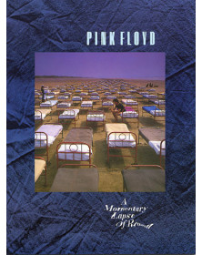 Momentary Lapse Of Reason