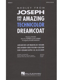 Joseph and the Amazing...