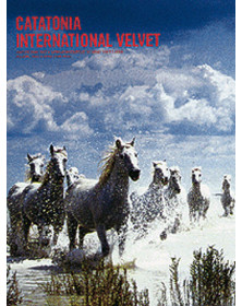 International Velvet