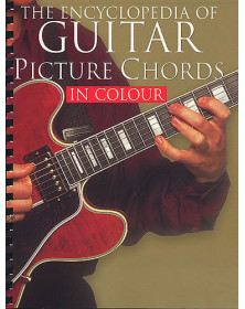 Encyclopedia Of Guitar...