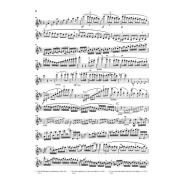 Beethoven : Concerto pour Violon en Ré Majeur Op.61