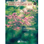 Tamai / Mindy : Image d'un jardin zen