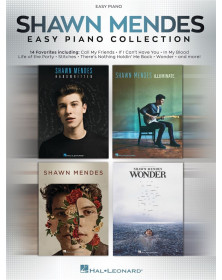 Shawn Mendes - Easy Piano...
