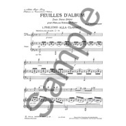 René Berthelot : Feuilles D'Album