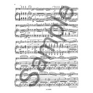 Georges Bizet : 1er Menuet de l'Arlésienne
