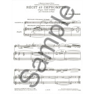 M. Dautremer : Récit Et Impromptu