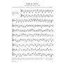 Le Petit Paganini Vol. 3 - Ernest Van de Velde
