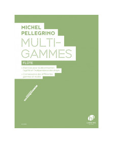 Michel Pellegrino : Multi-Gammes