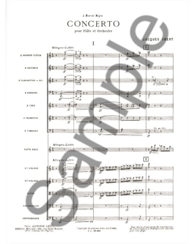 Concerto pour Flûte et Orchestre