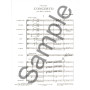 Concerto pour Flûte et Orchestre
