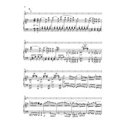 Felix Mendelssohn Bartholdy : Concerto pour Violon en mi mineur Op.64